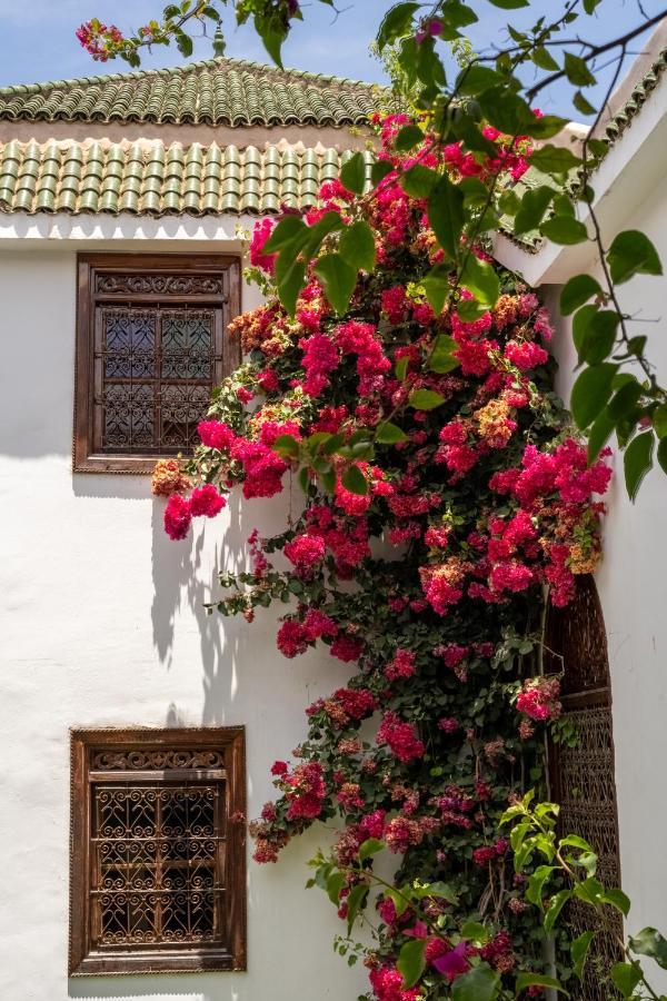 Riad Alma مراكش المظهر الخارجي الصورة