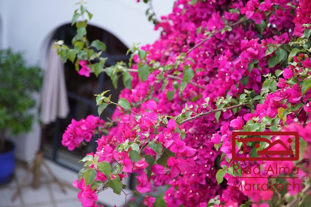 Riad Alma مراكش المظهر الخارجي الصورة