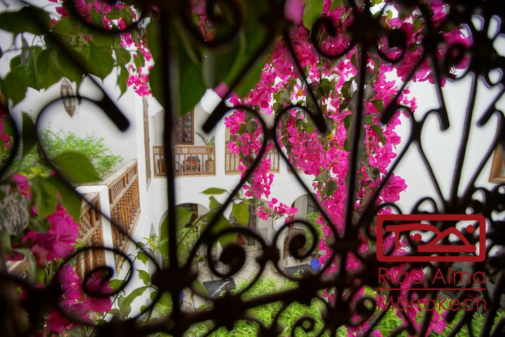Riad Alma مراكش المظهر الخارجي الصورة